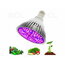 Full Spectrum Led Grow Light 30W VLE14_30_FS+2.jpg