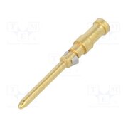 13162500 Contact; male; gold-plated; 0.14÷0.37mm2; turned contacts; bulk CqenZlFPnYiZmQq_cIJBCQvfzBtKb7b1zNBjkIRLEC0