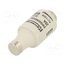 DIIGG50V20 Fuse: fuse; 20A; 500VAC; 500VDC; gG; industrial; DII 9IqVc5OGJhJ7D4zBygSdVYkT1K7TqYhe6bLkl79Zbb8