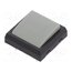 JF15SP4H Microswitch TACT; SPST-NO; Pos: 2; 0.05A/24VDC; 17.7x17.7x3mm CwUHrUw7RBEwiMVjP3f2xUdHHlFke5CEgBZPSfQkTE4
