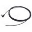 C21320000000109 Connector: M12; plug; female; PIN: 3; angled; cables; 5m 0G6lVQj37hjvnuI1IWh9ffN666d8W0Lm3rq2Vqw815s