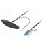 35.051.001 Antenna; automotive,inner; AM,FM; universal,with amplifier g-fX2CtoxCnBw1wTFZB81nIlaIxx96GBQDgJJW1YJac