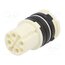 7003943102 Connector: M16; contact insert; female; PIN: 8(4+4); for cable A1HeACKcV3LbAeEnVozNgnU1ttxuxMX15gMN34bkmS8