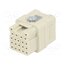 09120213101 Connector: HDC; contact insert; female; 6.5A; 50V; Han Q; PIN: 21 LTm7-TIRLM5BE9BrTObjvzqDsEhiNvM8Ip8eJiT0Hgk