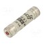 420610 Fuse: fuse; 10A; 400VAC; gG; ceramic,cylindrical,industrial wLDqT0Bia7KQUWy8sfpOo0beESK0BaktD3n04ETCaFE