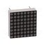KWM-20881AGB Display: LED; matrix; 8x8; yellow-green; 2÷4mcd; anode; 20x20mm _SjhWtpO-u-BlNjAezNTCHEqeuR9CrwgjqK8yngTa2c