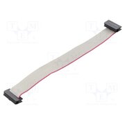 DS1052-01-142B2NA201501 Ribbon cable with IDC connectors; Tape ph: 1mm; Contacts ph: 2mm gXYSXBPSxQlpbGCHDco3mUILgF7Y6eb0WlbPdFDOfg8