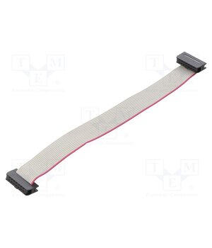 DS1052-01-142B2NA201501 Ribbon cable with IDC connectors; Tape ph: 1mm; Contacts ph: 2mm gXYSXBPSxQlpbGCHDco3mUILgF7Y6eb0WlbPdFDOfg8