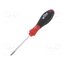 01301 Screwdriver; Torx® with protection; T15H; SoftFinish® 6q63JYAJNalZFT1CxOPMldsdNdYLzzyGhN9o6yqWAW8