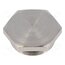 19000005071 Protection cap; metal; Thread: M25; Spanner: 28mm; with seal LJzuV50QQfN1UMV-__VVL4OnWt4CdELdFFlxAvhsq8o