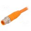 RSTS 8-184/2 M Cable: for sensors/automation; M12; straight; 2m; plug; 250VAC; 4A m-Kpgl3Az7Y42wuoze3k6eb81YE5iZB_jdwJ9-2RRhc