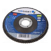 HT8D055 Flap grinding wheels; Ø: 125mm; Granularity: 120; 22.4mm 93qBYv_03YrTWm7ekIUZKxBFRtqCSjYoOTHZE8Ng34M