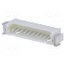 125SH-A-10-TR-SMT Connector: wire-board; socket; male; PIN: 10; 1A; 250V; horizontal ShzzOFnqqxd8eHvNk__-FLSiOzXSr7tXzyUFY4PBIK8