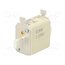 004182211 Fuse: fuse; 50A; 500VAC; gG; ceramic,industrial; NH00; WT-NH KnMmo4-tXbboe7OrZkW2-liaCvisYAklcV1SNjZUBbg