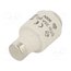 LE3335 Fuse: fuse; 35A; 500VAC; gG,time-lag; DIII 4HP9wxiS3gWqaqEL6Y61-0PSN9gtEjRA7IYJyPljR2M