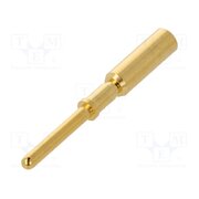 21011009926 Contact; male; gold-plated; 2.5mm2; crimped; M12 Power connectors R0MVZa8r4BVt5abY035EMqph90pGDvn2XLyR1Gfm358