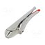 41 24 225 Pliers; Morse's,locking; 225mm gho7mJf2PSQQ8jKDl1gO6izr76oCSgaVSi2EgDkDxFE