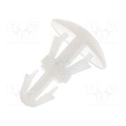 FIX-RCA-3.2 Assembly stud; polyamide; L: 3.2mm; snap fastener; natural BFBo7H7jIBt4JANzIeziRY-FnTL8Kd0FMyAPgNrv-Fw