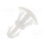 FIX-RCA-3.2 Assembly stud; polyamide; L: 3.2mm; snap fastener; natural BFBo7H7jIBt4JANzIeziRY-FnTL8Kd0FMyAPgNrv-Fw