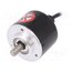 E50S8-1000-3-T-24 Encoder: incremental; Usup: 12÷24VDC; 1000imp/revol; IP50; 2m DgWl8RS6JsB7OWIuGnqXwpUvmPjbKioLWV5MRSrUKEE