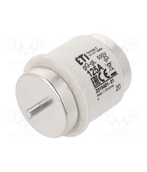 002315401 Fuse: fuse; 125A; 500VAC; 500VDC; gG; ceramic; DV; D uh-6tVeiS_B6fa98ZsKQmj3pLkqBP0qBBBj_Pi4A3_g