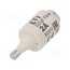 002312101 Fuse: fuse; 2A; 500VAC; 500VDC; quick blow; ceramic; DII; D gQLCe7XqZxhPuaGThAnu4CaRrJAM3gKwXIqO3xHtbdM
