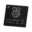 RASPBERRY PI RP2350B 7” REEL IC: RP2350 microcontroller; Frequency: 150MHz; Cortex M33,RISC-V jIEeem_6TEhqANNstj7IJcuMwdNpCMrCVOUk4i6xZrY