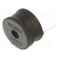 1430430C Inductor: wire; THT; 300uH; 3A; 140mΩ; ±15%; 1400; Ø24.4x14mm HNJF3RRPBBfBXACi87LMxXVWGrurVw4iGHD8OycMKSE