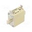 381075 Fuse: fuse; 160A; 500VAC; 250VDC; gG; ceramic; NH00 l6u-DjBvEFzySwjCYBNl0dnUYIhYWZ6IWwKFp1CxaF4