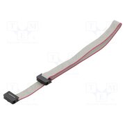 DS1052-01-102B2NA203001 Ribbon cable with IDC connectors; Tape ph: 1mm; Contacts ph: 2mm hpnb2_hBhTnHqePo5LUiY0tzlJwbn_Vlz0d9G9m7_6Q