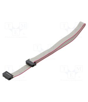 DS1052-01-102B2NA203001 Ribbon cable with IDC connectors; Tape ph: 1mm; Contacts ph: 2mm hpnb2_hBhTnHqePo5LUiY0tzlJwbn_Vlz0d9G9m7_6Q