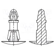 8G820V41225 Assembly stud; polyamide 66; L: 8mm; latch/latch; natural; UL94V-2 iT4Iy_UxWwCJdQIz79Rz-o-bsUC_sLfat_AOYMC0Vqc