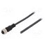 SAIL-M12BG-5-10U Cable: for sensors/automation; M12; PIN: 5; straight; 10m; plug VxEVtTtbOlSnqOMDv9zZo9JSM4Ks25nQPadug_w_VM0