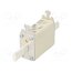 004139207 Fuse: fuse; 100A; 400VAC; quick blow; ceramic,industrial; NH1C Hqb63a9McB_Cgw4uZn7m7iMiAIYok1DPGHiEzg7jgNE
