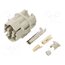 09155123002 Connector: circular; male; contact insert; Han® F+B; PIN: 13 UOWfxIY1RPuVtTM-ZPqAE0fWWXXQYUCEZ_ojiIU3XjU