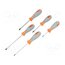 PGT040 Kit: screwdrivers; Pozidriv®,slot; PZ0,PZ1,PZ2,SL 4,SL 5; 5pcs. s8_KPliyYS6pgFnn3Fo2f513EUgbGz5D00wqdHQujNE