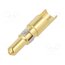 09030006133 Contact; male; soldering; for cable; 40A DAXr0jR5LgFilWEW3Z_tHKQFJ3vSOEV79m0ME6G-T8k
