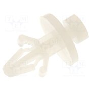 MS-6 PCB distance; polyamide; L: 6.4mm; bayonet,snap fastener; natural oDMWz2QFY_Fspbns9ePC06Bx3DzlQqCKqkI7-GEjOkA