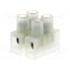BM 92CS2 Connector: terminal block; 250V; with wire protector; natural FNPWvrwTZkEpNLUqpBPEZ1dQnVrc05j15UqPxZZjxDk