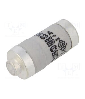 DO2-63 Fuse: fuse; 63A; 400VAC; 250V; gG,gL; industrial; D02 scaXuyR3g67K6W4v-S3TQzT-9ac80YqXbnCLoVFJEGE