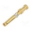 13163700 Contact; female; gold-plated; 0.75÷1mm2; turned contacts; bulk kg9MKZVwjAzPDuDP2CS-PbSMuU7X38kVA_dsktKUbQ0