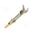 170364-3 Contact; male; Mini Universal MATE-N-LOK; brass; 0.3÷0.8mm2; bulk 1Vw7YhhRJgud4t_ry-h6R3p9h69xC83eKPeQNV-0Cvo