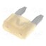 0297025.WXNV Fuse: fuse; 25A; 32VDC; automotive; 10.9mm; Mini XWm7T66XH-2_63q6OagPQgWRwoc_s-YZw74-EVsrdEE