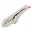 40 04 250 Pliers; Morse's,locking; 250mm px898G1Cjrq7F_FneQXlkAy0lUHxVDj_RF0v_-ukO6Y