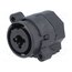 FC2440 Connector: Jack 6,3mm + XLR; socket; female; straight; THT 3epca2dqilUz-zMrTxZi8sZAuyA0q0-jWjrV0aZZTSg