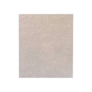 MICA PAD mikroviļņu krāsnij, 300x300x0,4 mm, universāls

 SBMWMICA8.jpg