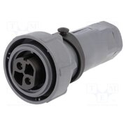 PXP7010/02S/ST/1113 Connector: circular; plug; female; PIN: 2; 25A; 600V; Buccaneer 7000 -YMaXaV-LoUPsC7DuJI4DlybmYyYaY2hisRCKsSI22Y