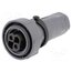 PXP7010/02S/ST/1113 Connector: circular; plug; female; PIN: 2; 25A; 600V; Buccaneer 7000 -YMaXaV-LoUPsC7DuJI4DlybmYyYaY2hisRCKsSI22Y