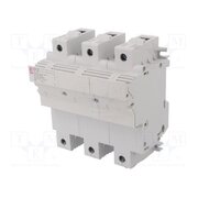 002570004 Fuse disconnector; 22x58mm; for DIN rail mounting; 100A; 690VAC BnzeqnXIgRI0o5PwMtr8HaK6qoTz_Kh0nGCPPKZZzXo