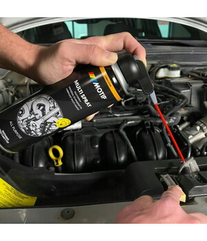 Daudzfunkcionālais aerosols Motip 500 ml

 ICVM206+1.jpg